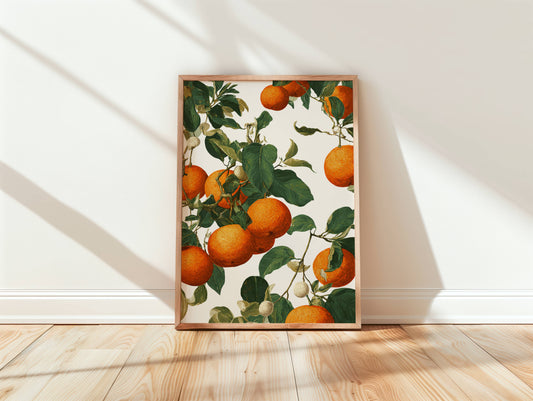 Oranges | Mediterranean Botanical Wall Art