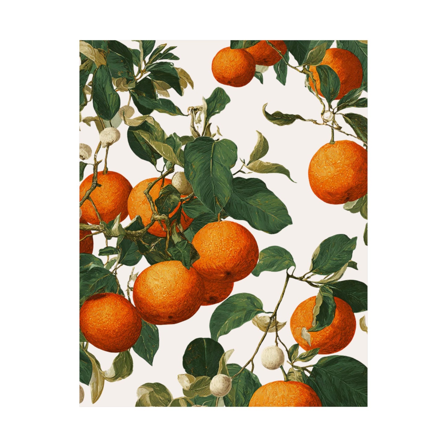 Oranges | Mediterranean Botanical Wall Art