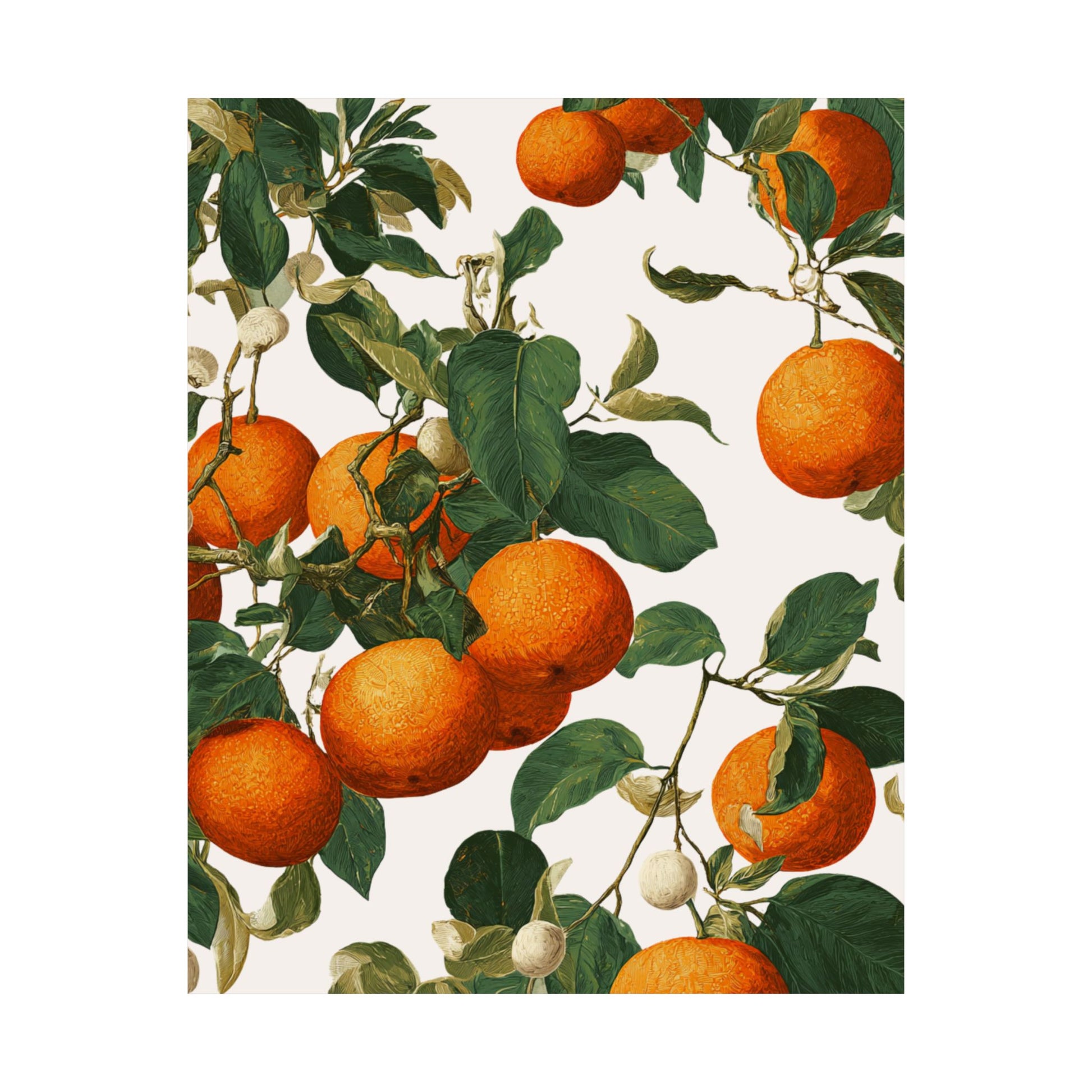 Illustration of oranges on a branch with leaves on a light background